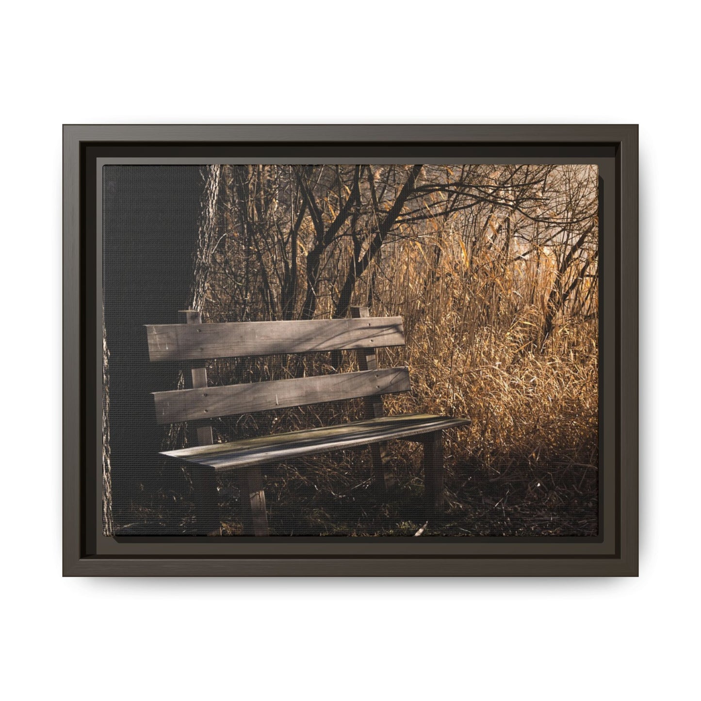 Framed Matte Canvas Print — Autumn Park Bench Photography