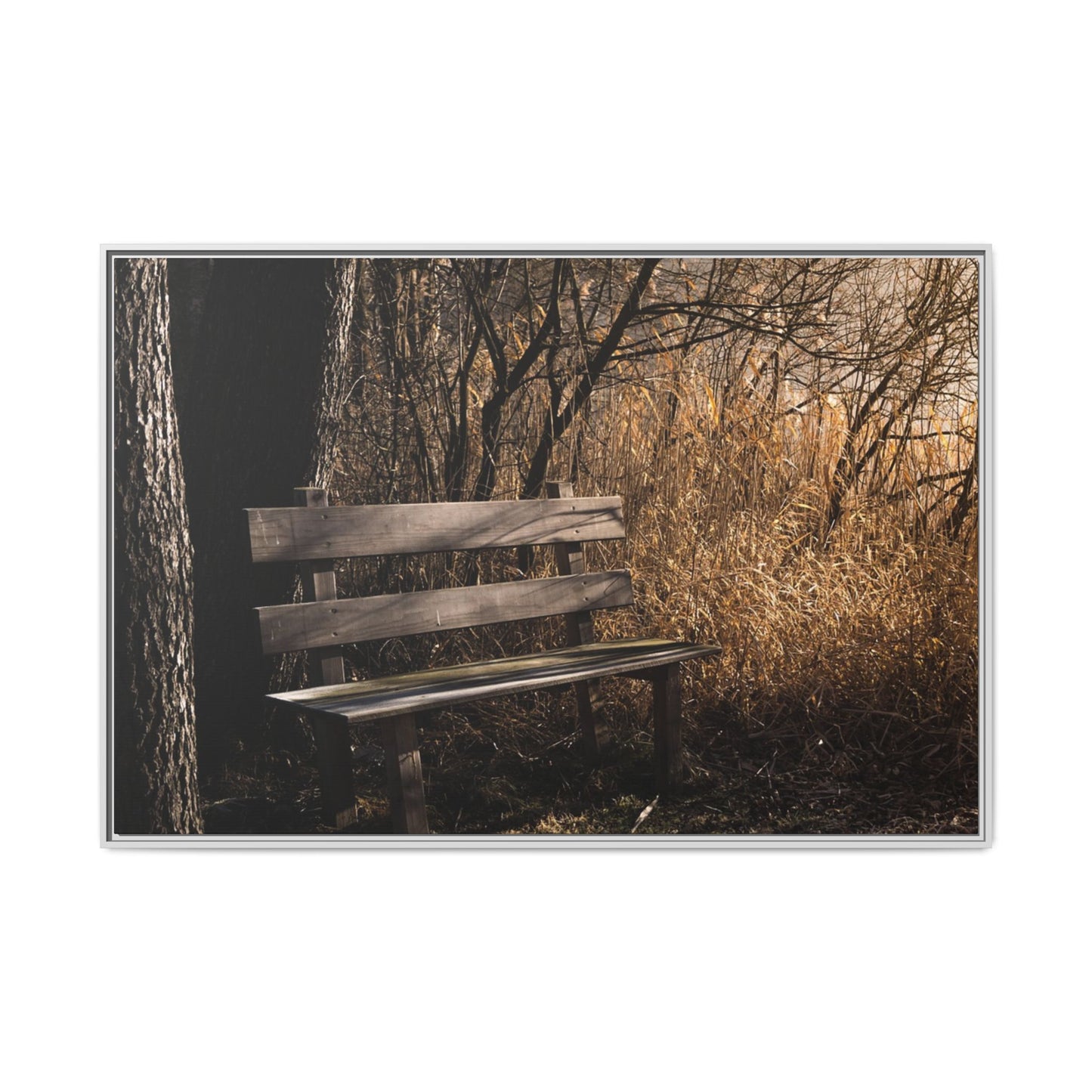Framed Matte Canvas Print — Autumn Park Bench Photography
