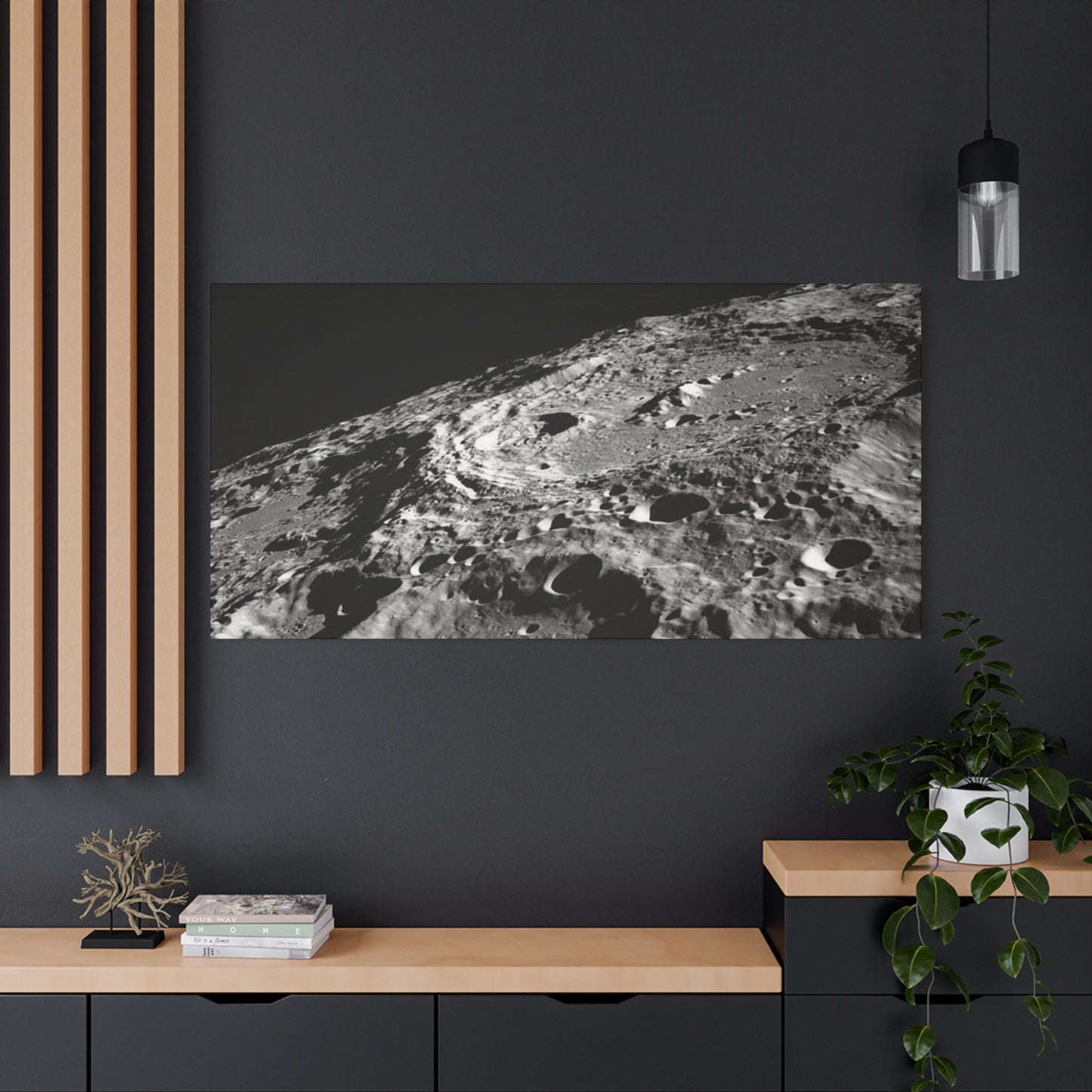 Lunar Surface Matte Canvas Print — Black & White Moon Crater Wall Art