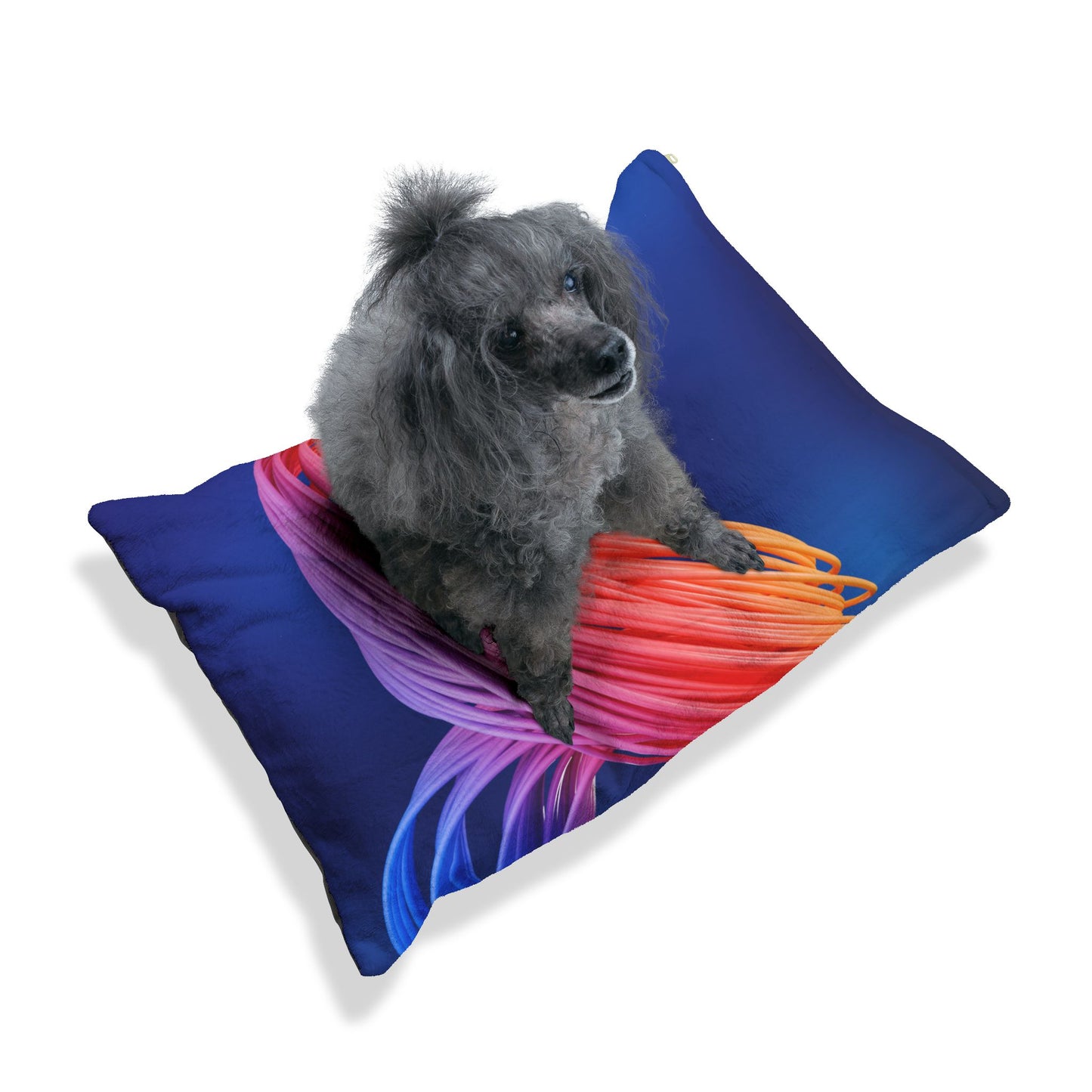 Pet Bed