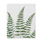Fern Watercolor Canvas Art – Botanical Matte Stretched Wall Print