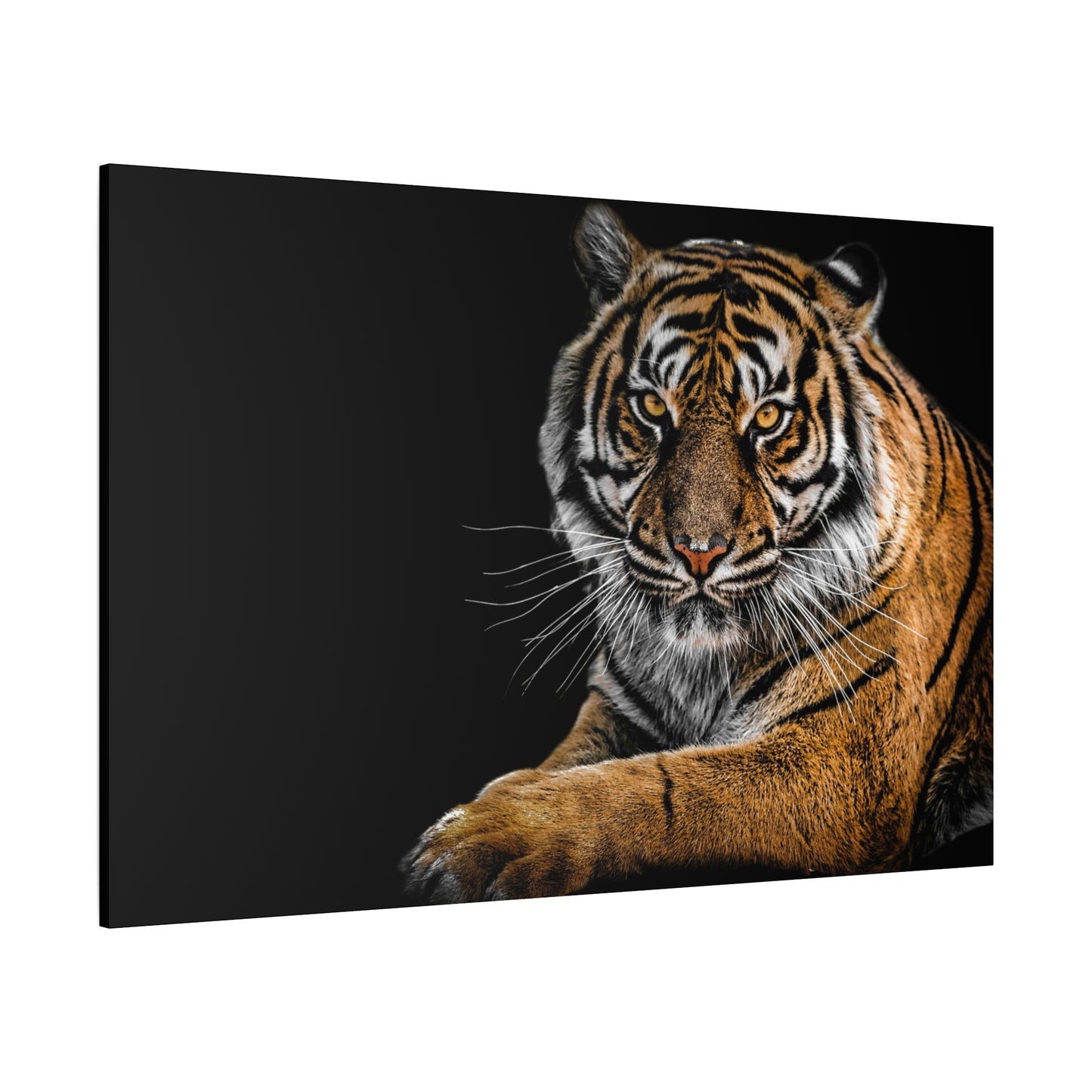 Majestic Tiger Canvas Art, Perfect for Animal Lovers