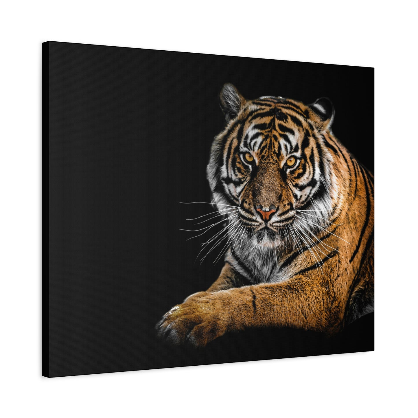 Majestic Tiger Canvas Art, Perfect for Animal Lovers
