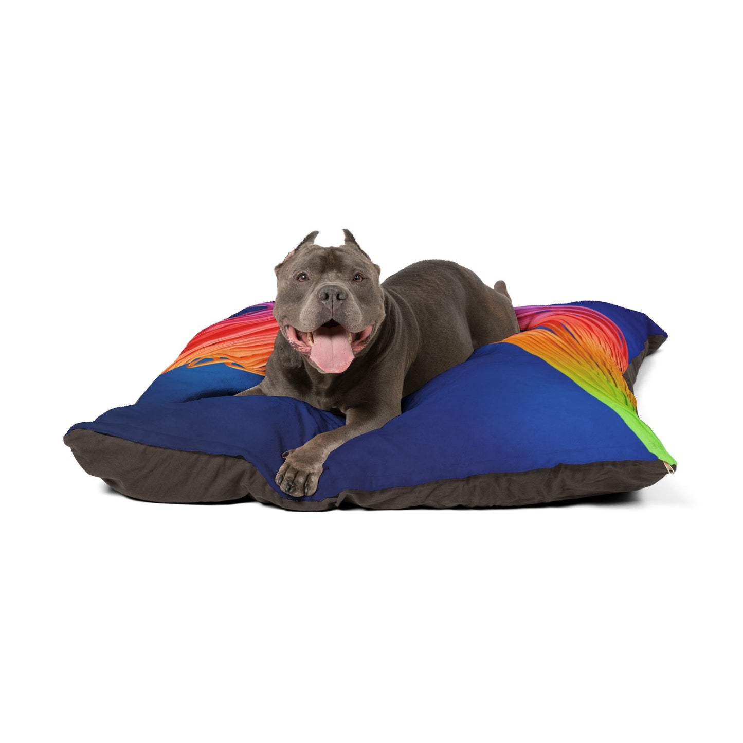 Pet Bed