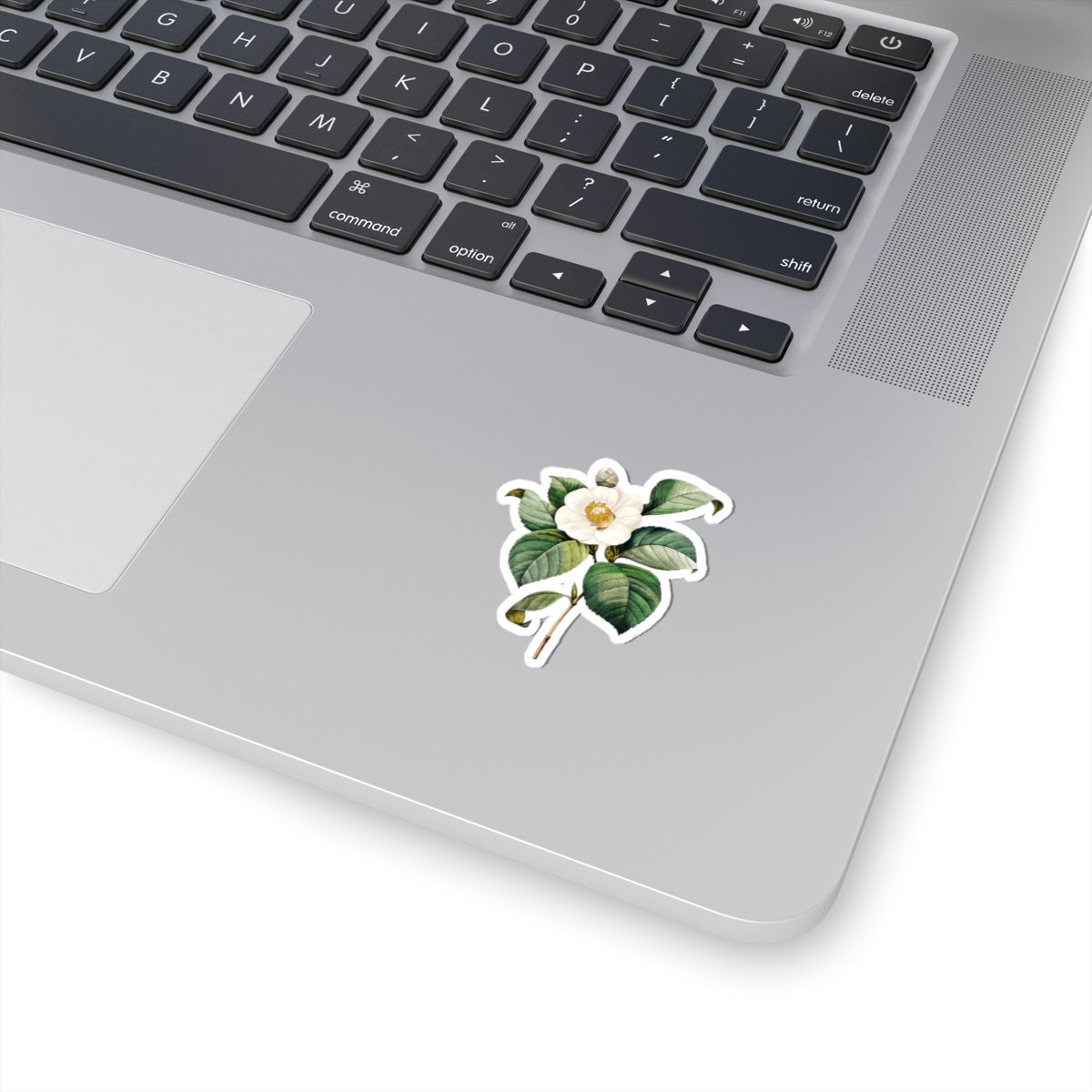Vintage Camellia Flower Sticker — Botanical Kiss-Cut Decal for Laptops & Journals