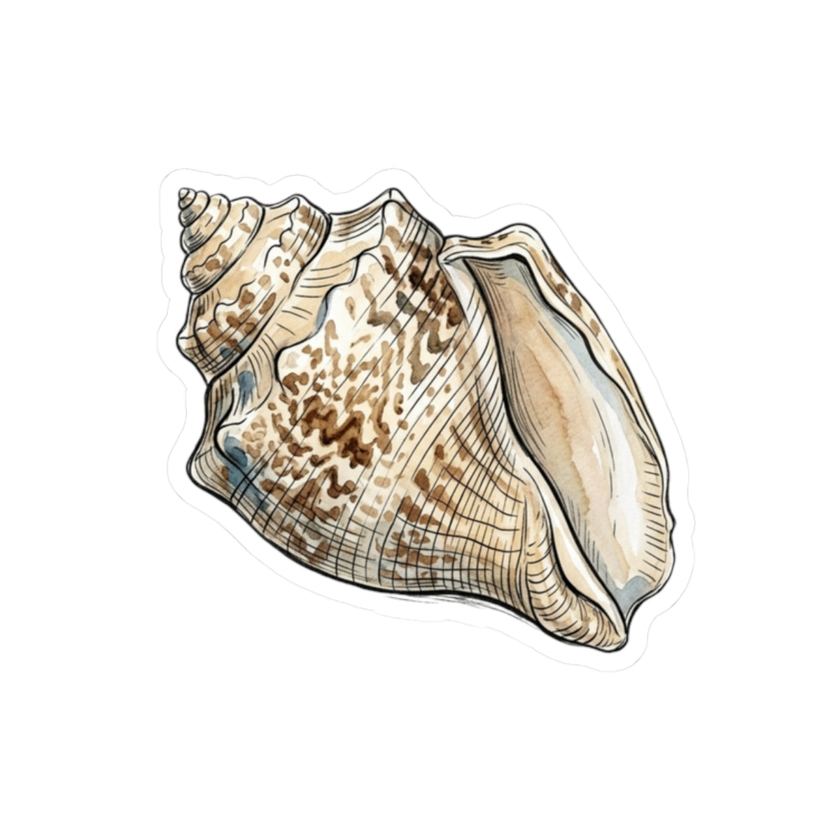 Seashell Kiss-Cut Sticker — Realistic Conch Shell Laptop Decal