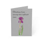 Thoughtful Floral Greeting Cards - Sympathy, Encouragement