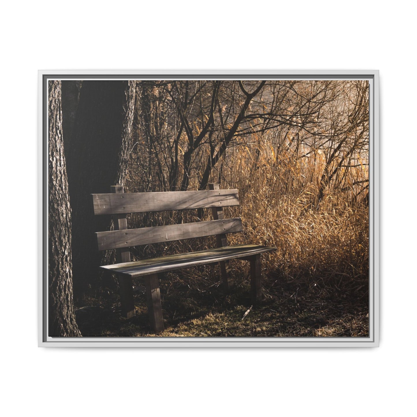 Framed Matte Canvas Print — Autumn Park Bench Photography