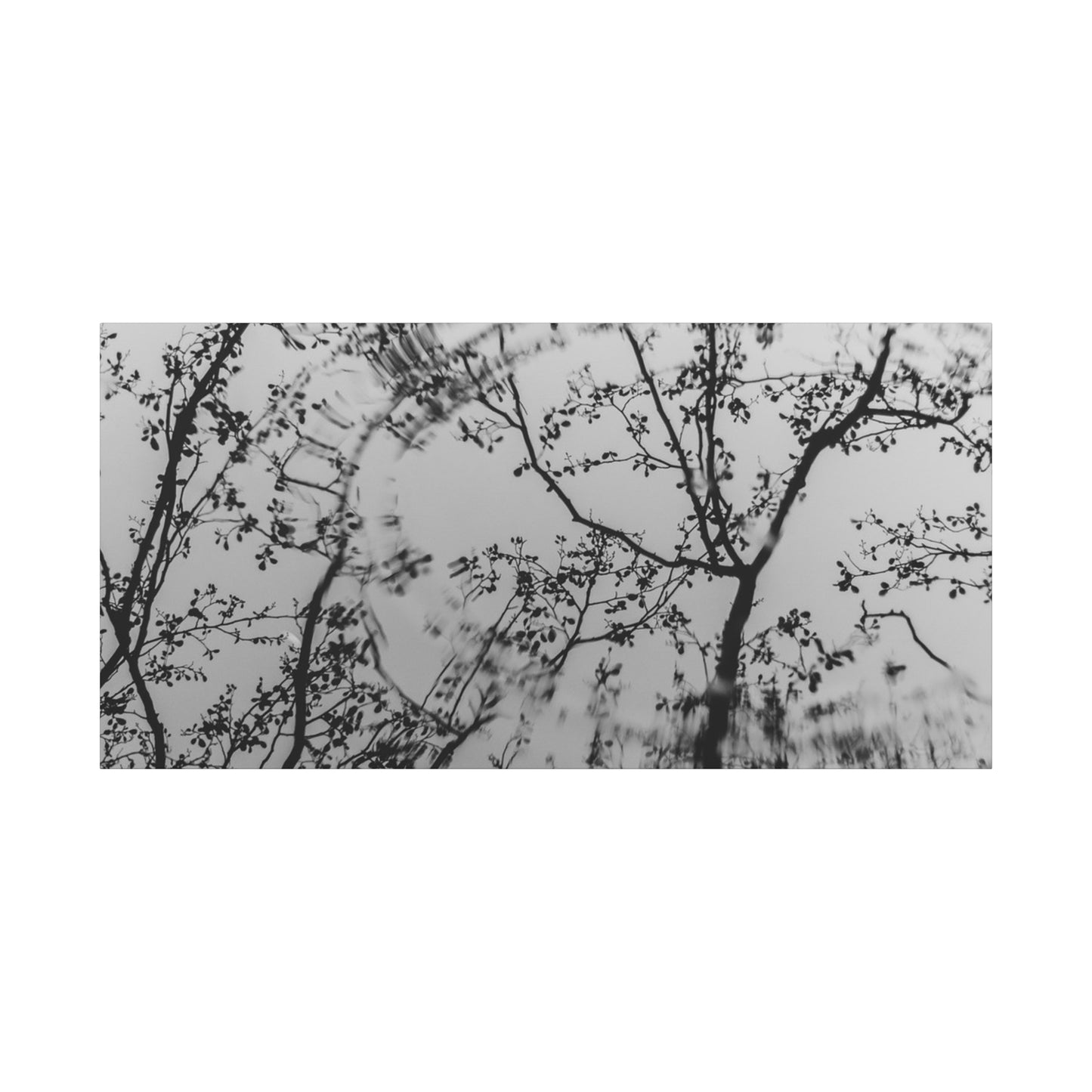 Canvas Wall Art — Monochrome Blurred Ferris Wheel with Tree Silhouettes