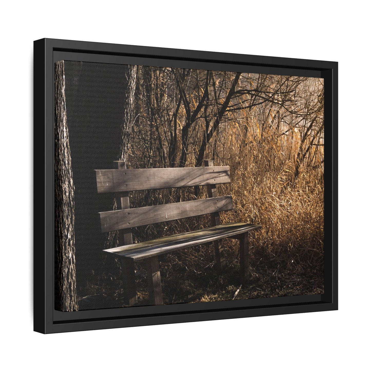 Framed Matte Canvas Print — Autumn Park Bench Photography