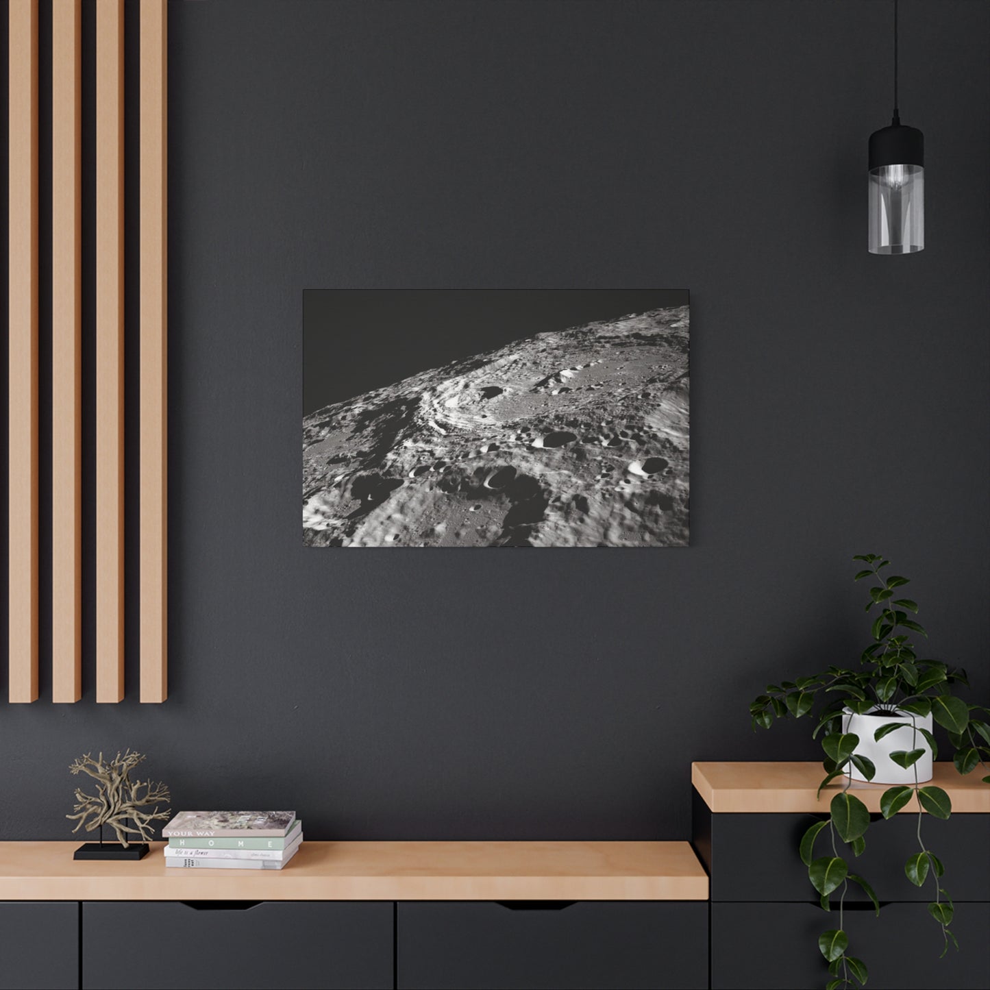Lunar Surface Matte Canvas Print — Black & White Moon Crater Wall Art