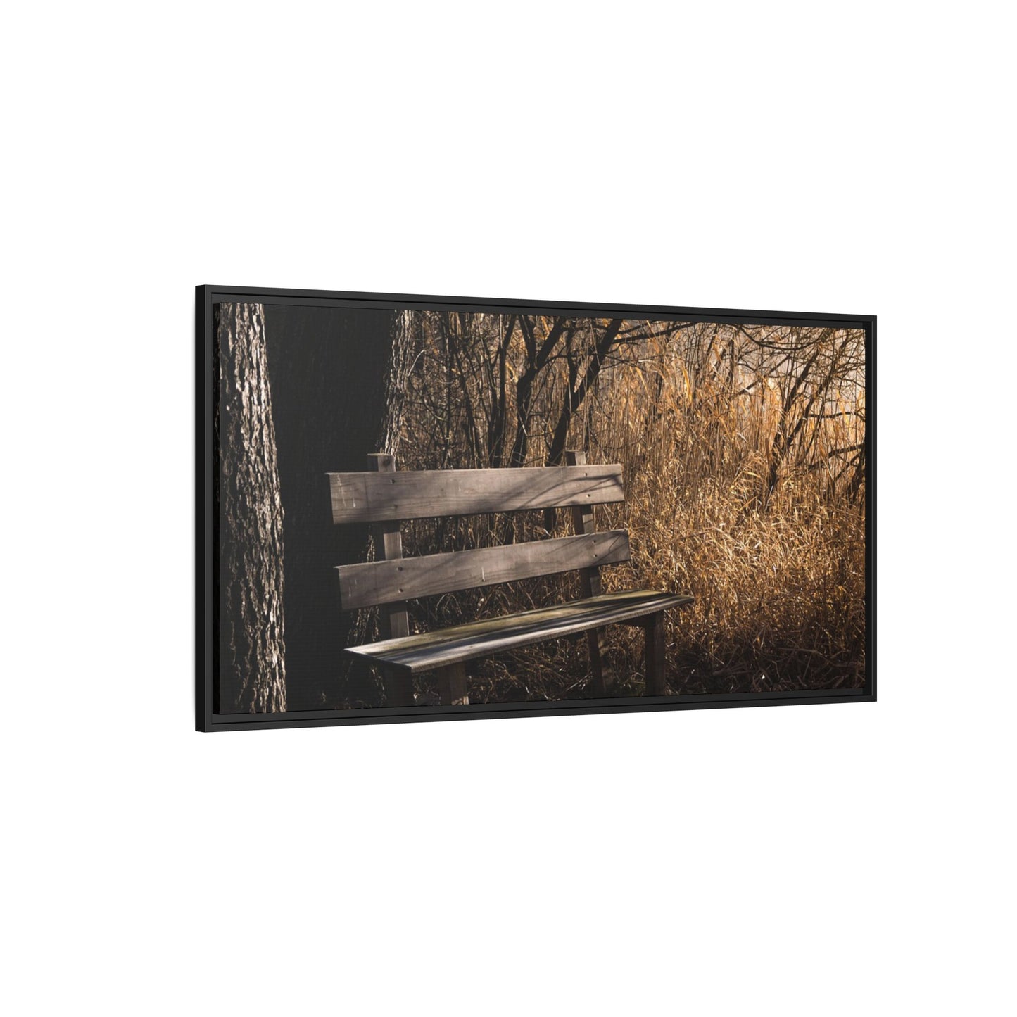 Framed Matte Canvas Print — Autumn Park Bench Photography
