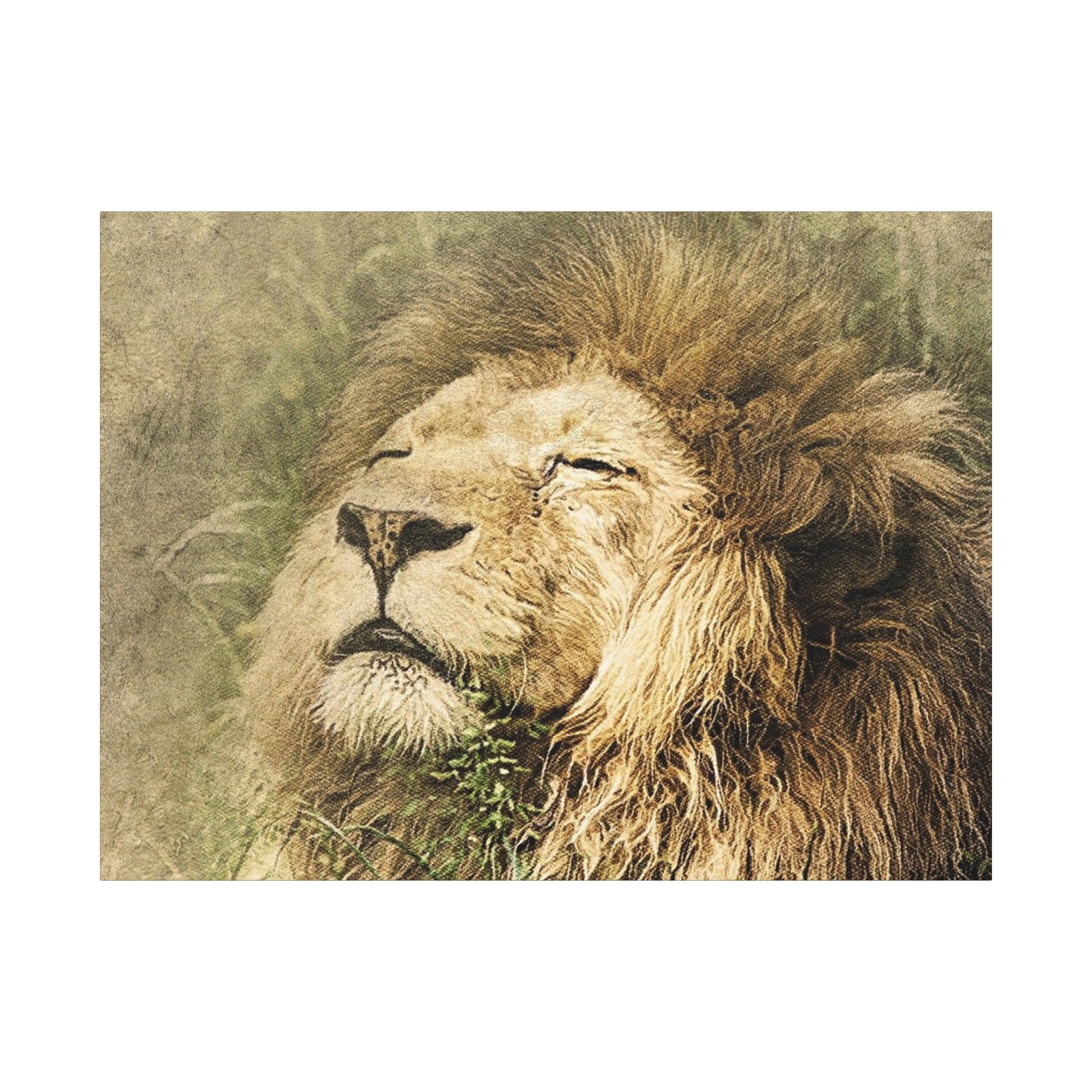 Lion Portrait Matte Canvas Print — Stretched 1.25" Wall Art