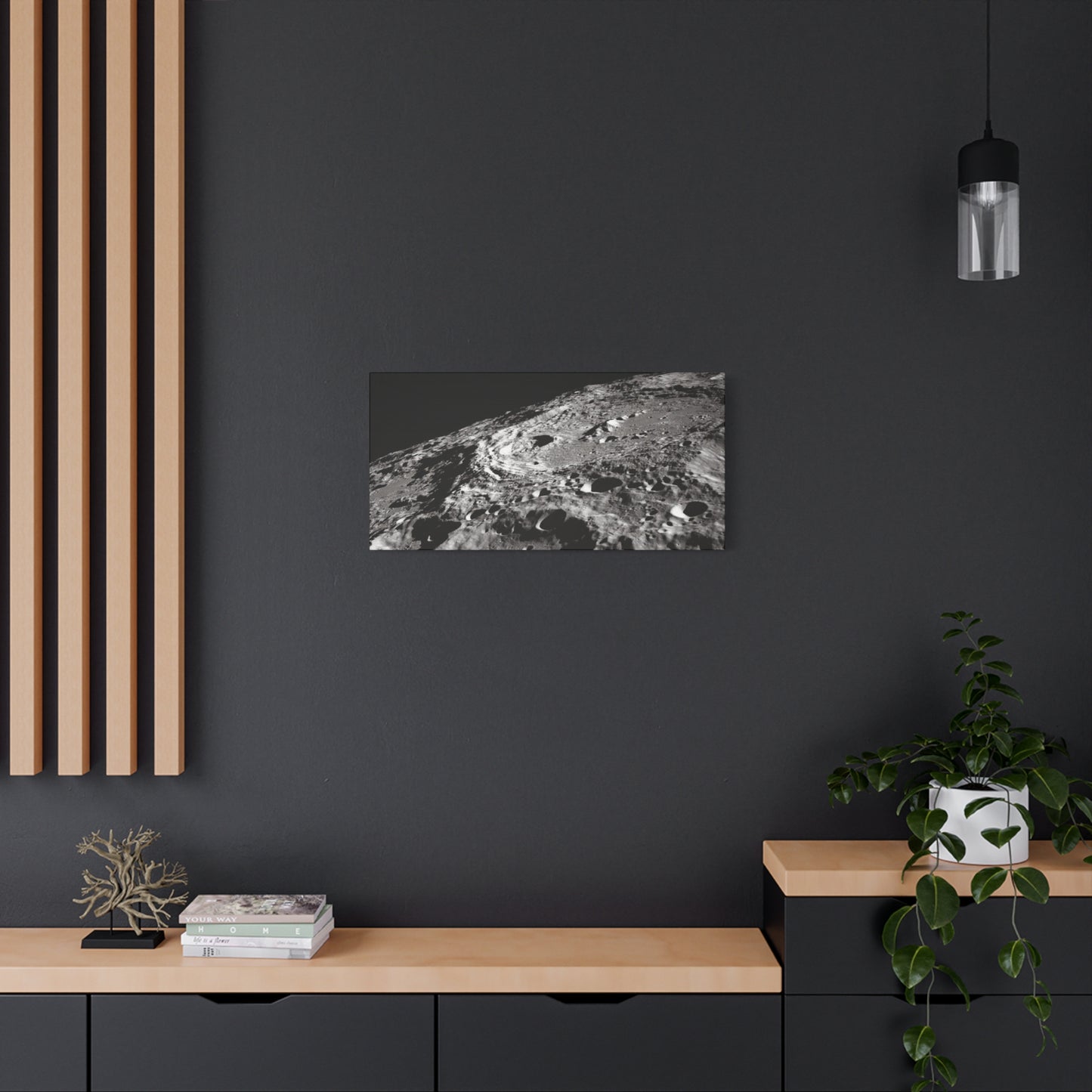 Lunar Surface Matte Canvas Print — Black & White Moon Crater Wall Art