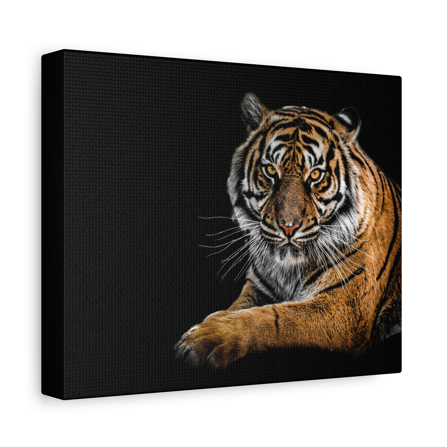 Majestic Tiger Canvas Art, Perfect for Animal Lovers