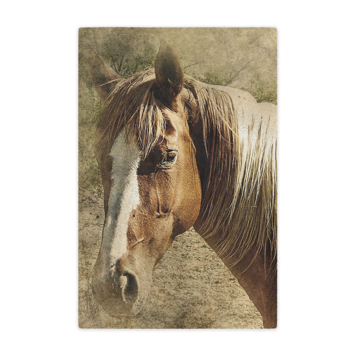 Rustic Horse Minky Blanket — Soft Western Horse Portrait Throw