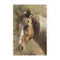 Rustic Horse Minky Blanket — Soft Western Horse Portrait Throw