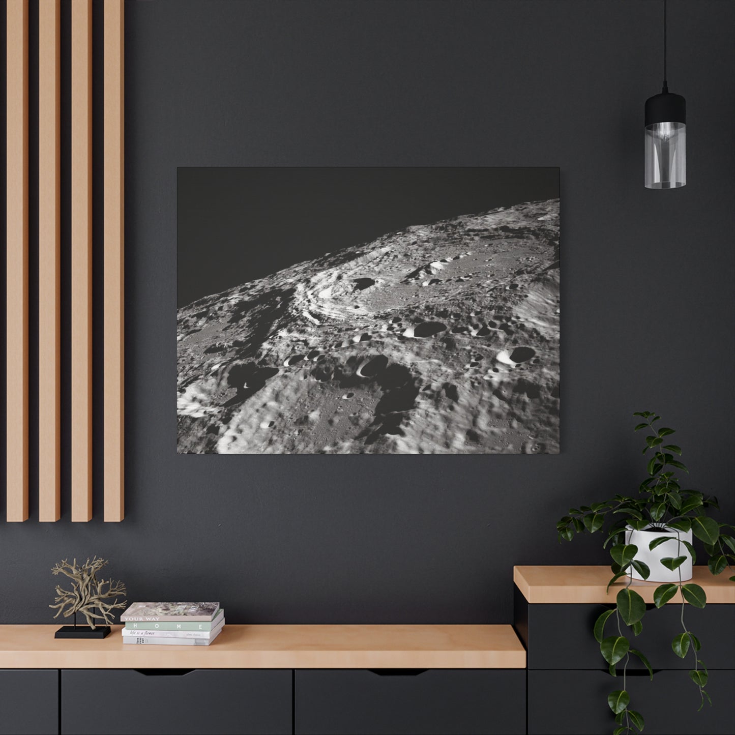 Lunar Surface Matte Canvas Print — Black & White Moon Crater Wall Art