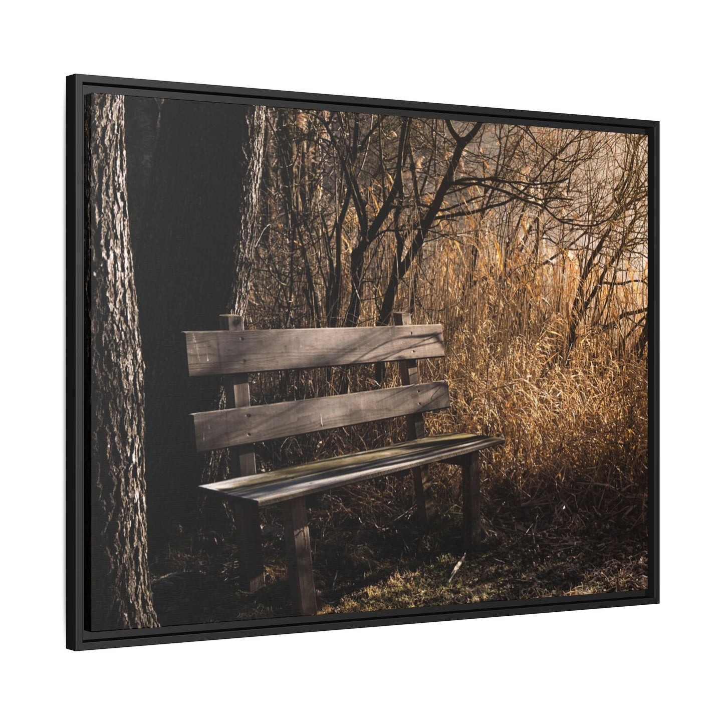 Framed Matte Canvas Print — Autumn Park Bench Photography