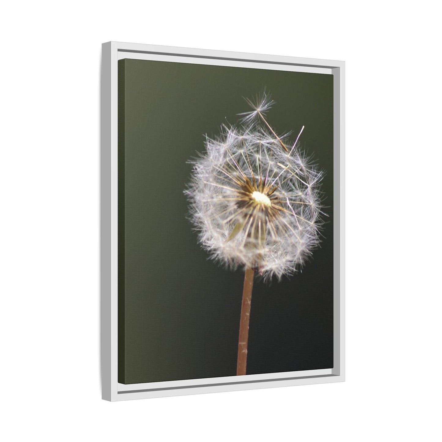 Framed Dandelion Canvas Print — Matte Botanical Wall Art