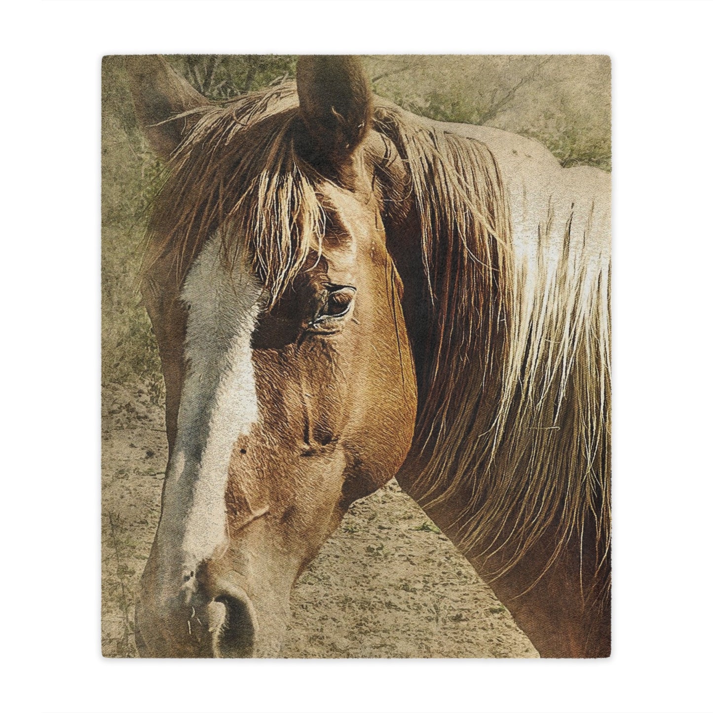 Rustic Horse Minky Blanket — Soft Western Horse Portrait Throw