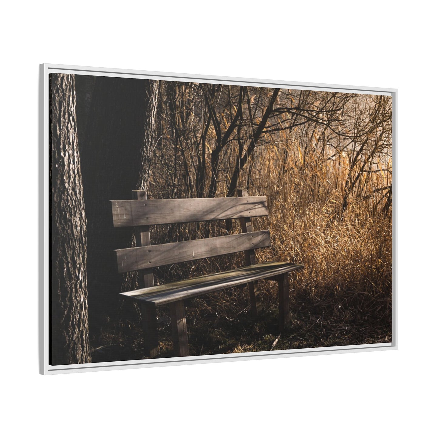 Framed Matte Canvas Print — Autumn Park Bench Photography