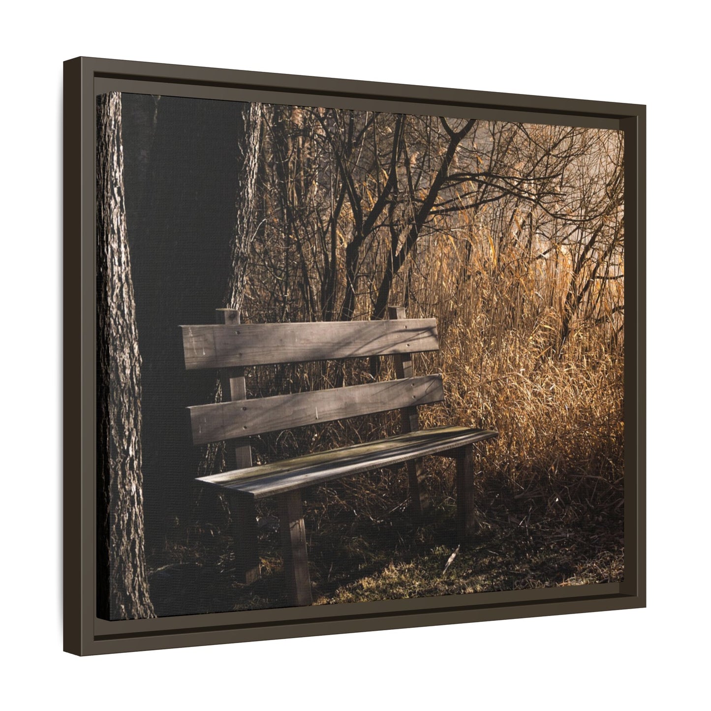 Framed Matte Canvas Print — Autumn Park Bench Photography