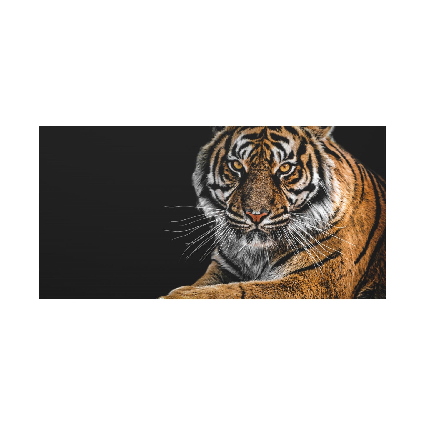 Majestic Tiger Canvas Art, Perfect for Animal Lovers