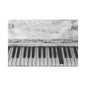 Vintage Piano Keys Matte Canvas Print