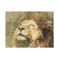 Lion Portrait Matte Canvas Print — Stretched 1.25" Wall Art