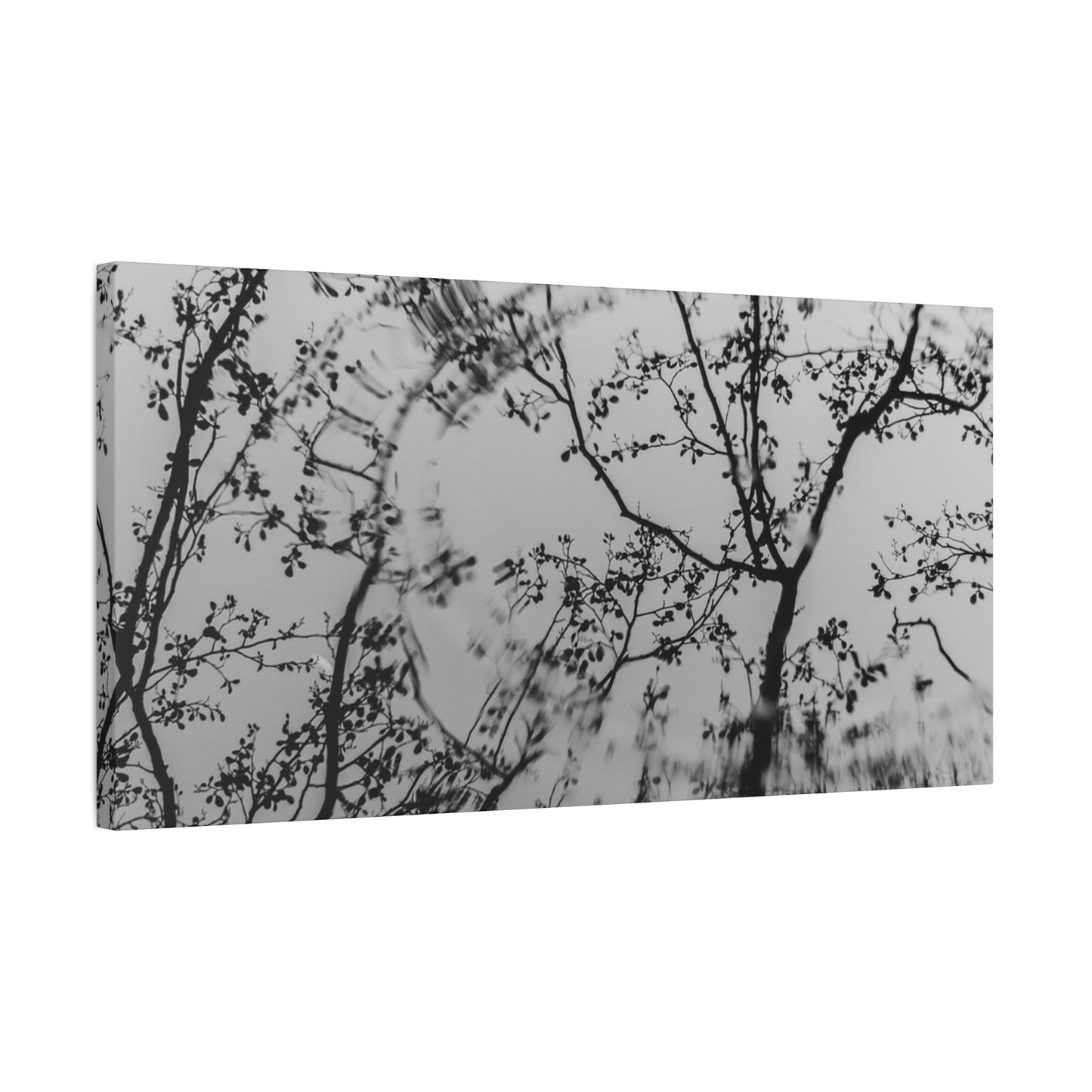Canvas Wall Art — Monochrome Blurred Ferris Wheel with Tree Silhouettes