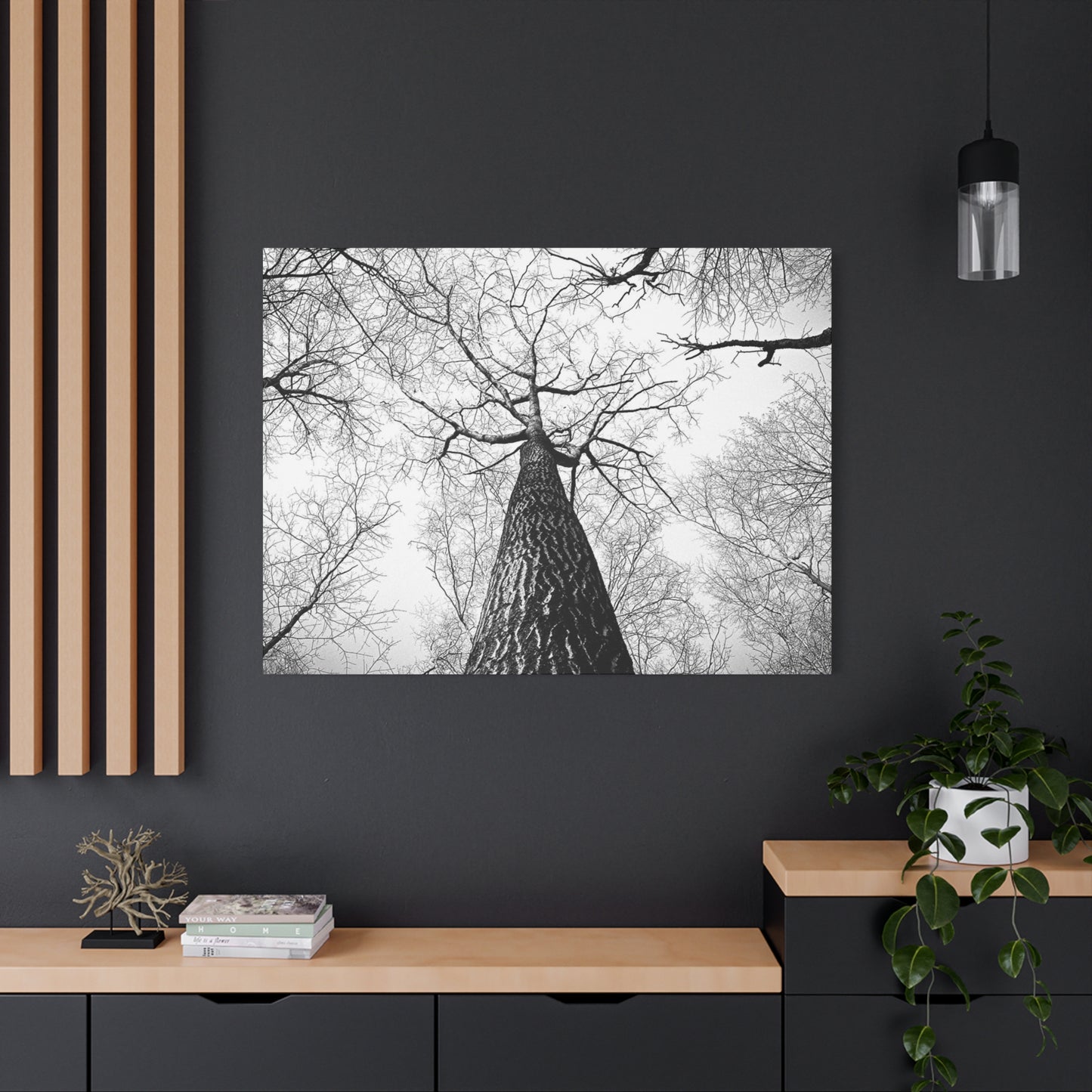 Black & White Tree Canopy Matte Canvas Wall Art — Upward Forest Photography