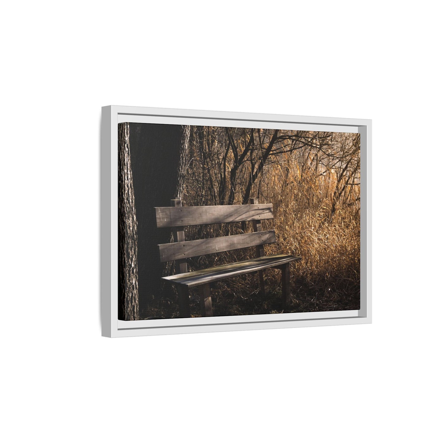 Framed Matte Canvas Print — Autumn Park Bench Photography