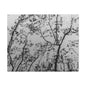 Canvas Wall Art — Monochrome Blurred Ferris Wheel with Tree Silhouettes