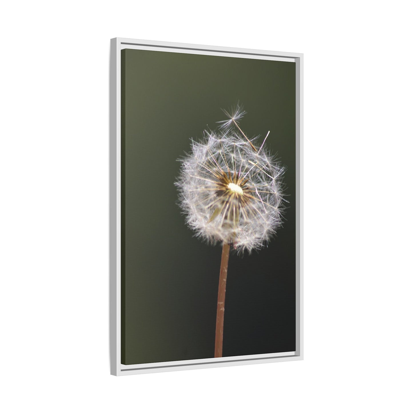 Framed Dandelion Canvas Print — Matte Botanical Wall Art