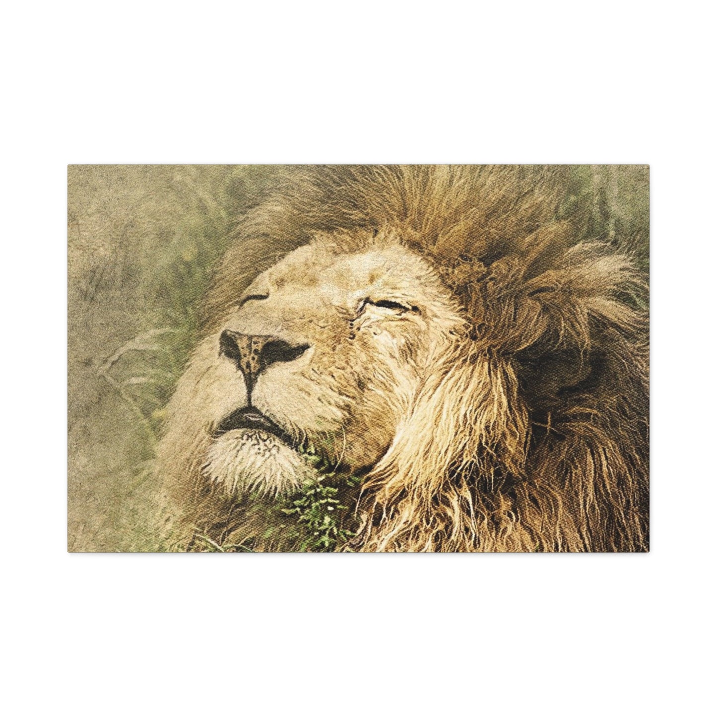 Lion Portrait Matte Canvas Print — Stretched 1.25" Wall Art