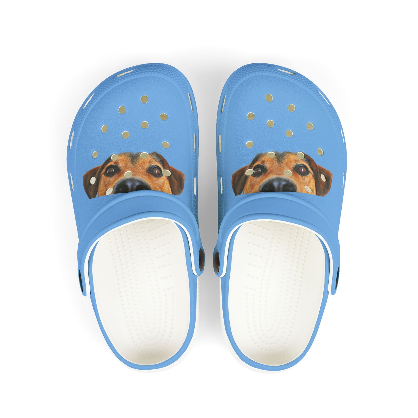 Adorable Kids' EVA Foam Clogs with Dog Design | Fun Footwear, Summer Shoe, Vacation Essential, Pet Lover Gift, Outdoor Play