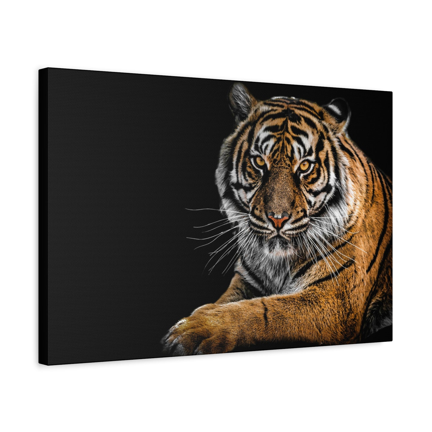 Majestic Tiger Canvas Art, Perfect for Animal Lovers