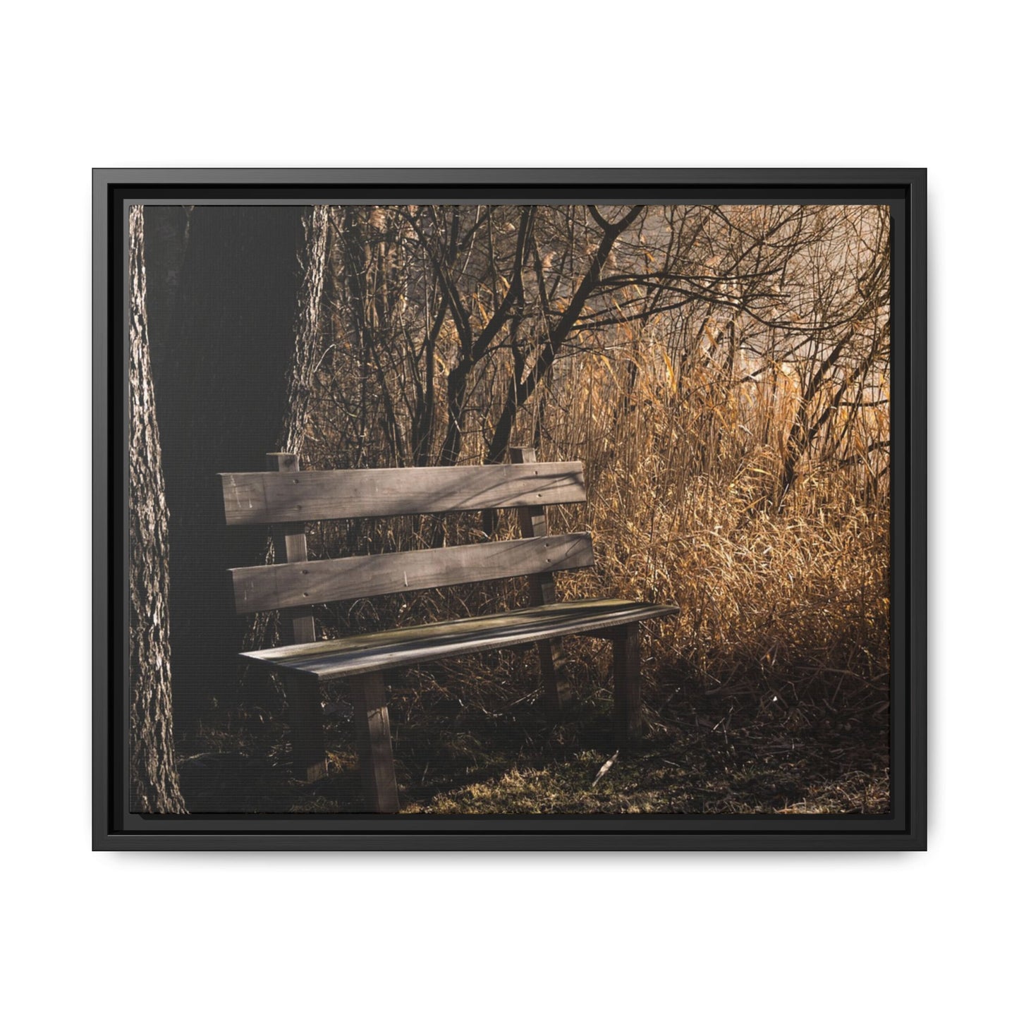 Framed Matte Canvas Print — Autumn Park Bench Photography