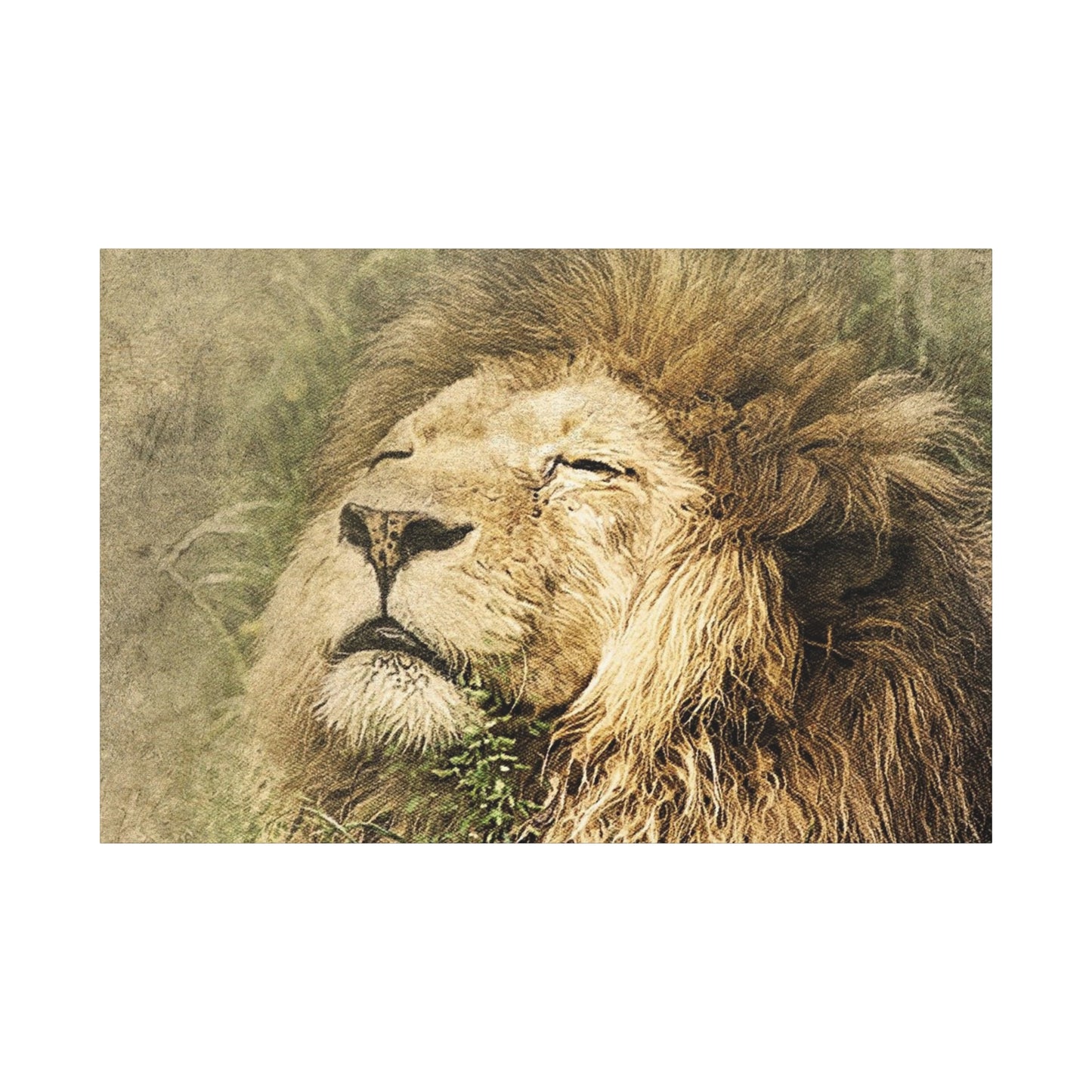 Lion Portrait Matte Canvas Print — Stretched 1.25" Wall Art