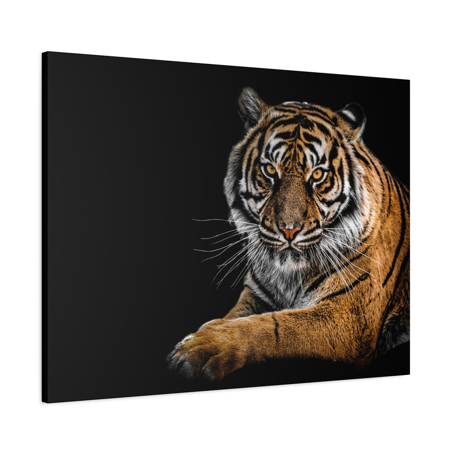 Majestic Tiger Canvas Art, Perfect for Animal Lovers