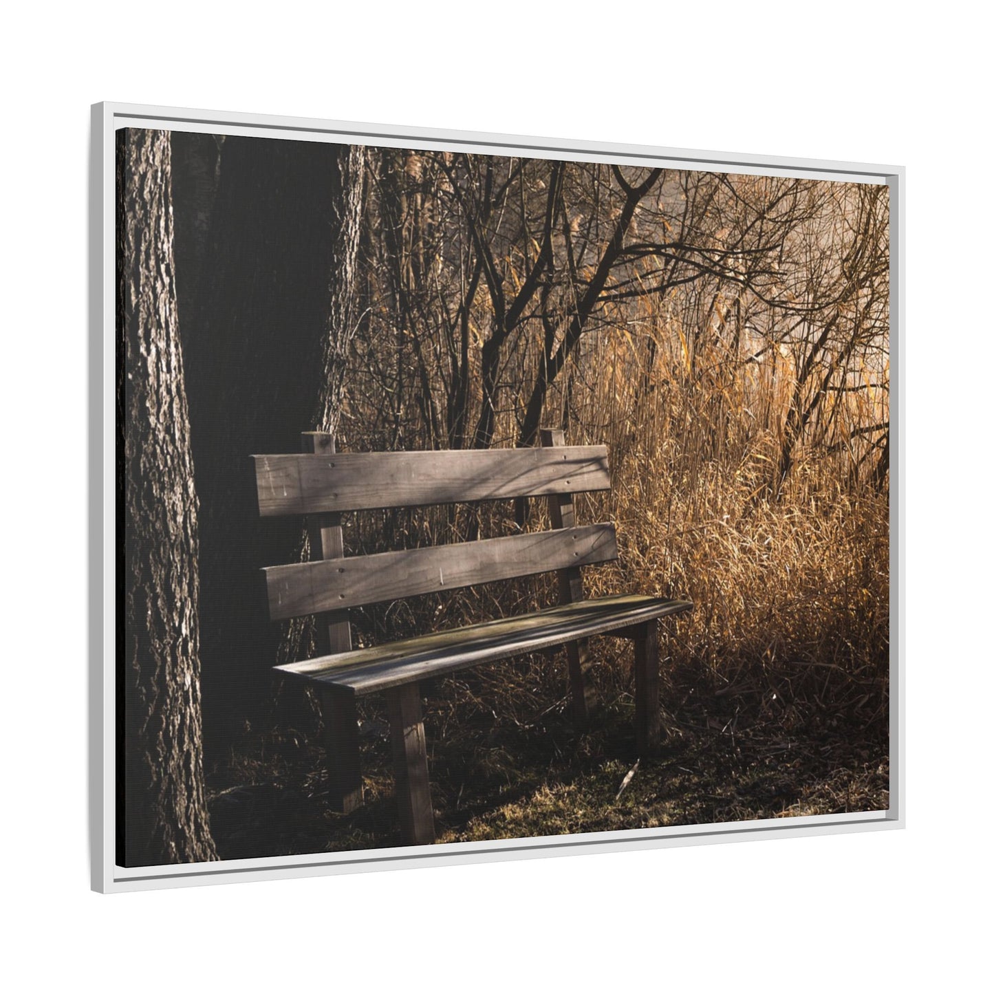 Framed Matte Canvas Print — Autumn Park Bench Photography