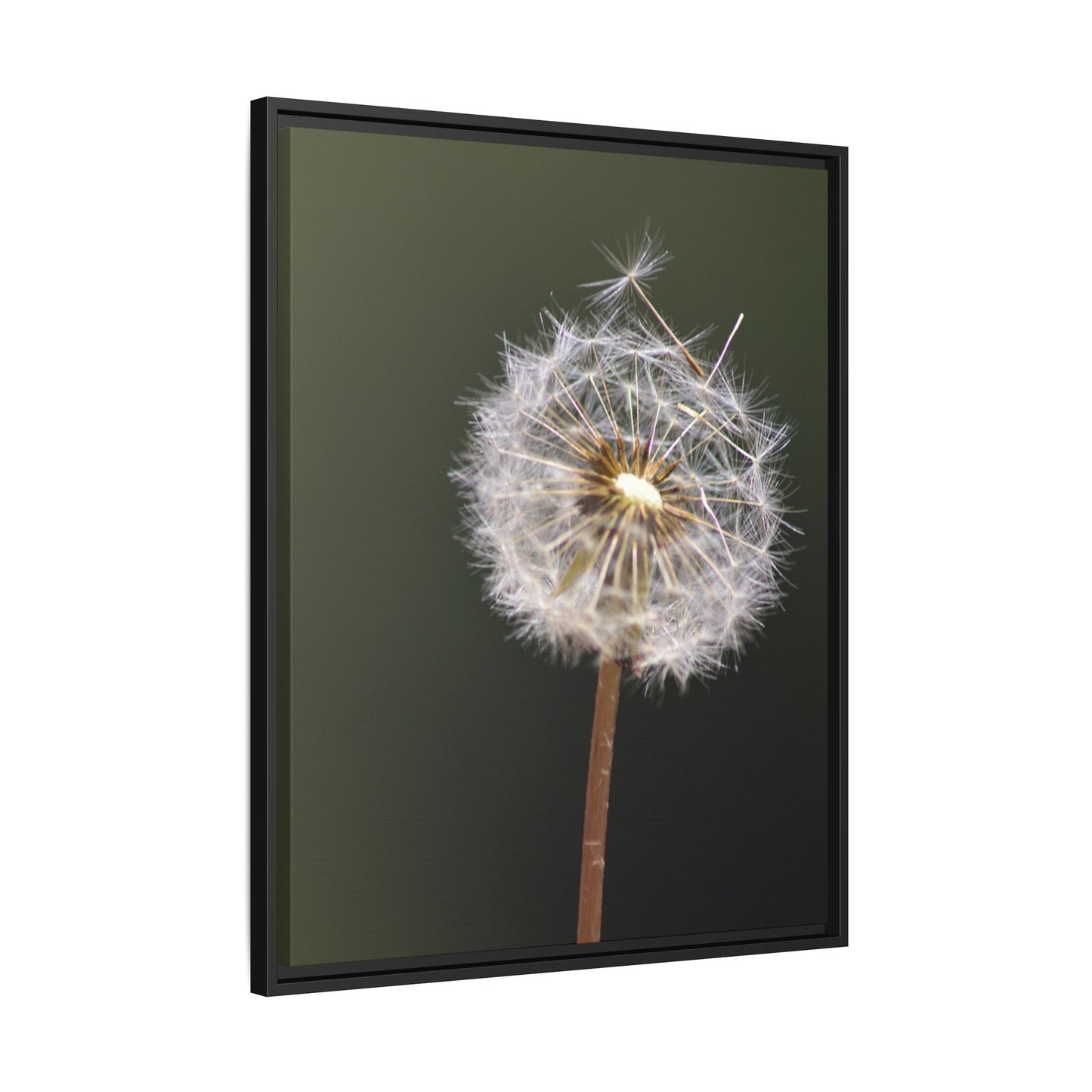 Framed Dandelion Canvas Print — Matte Botanical Wall Art