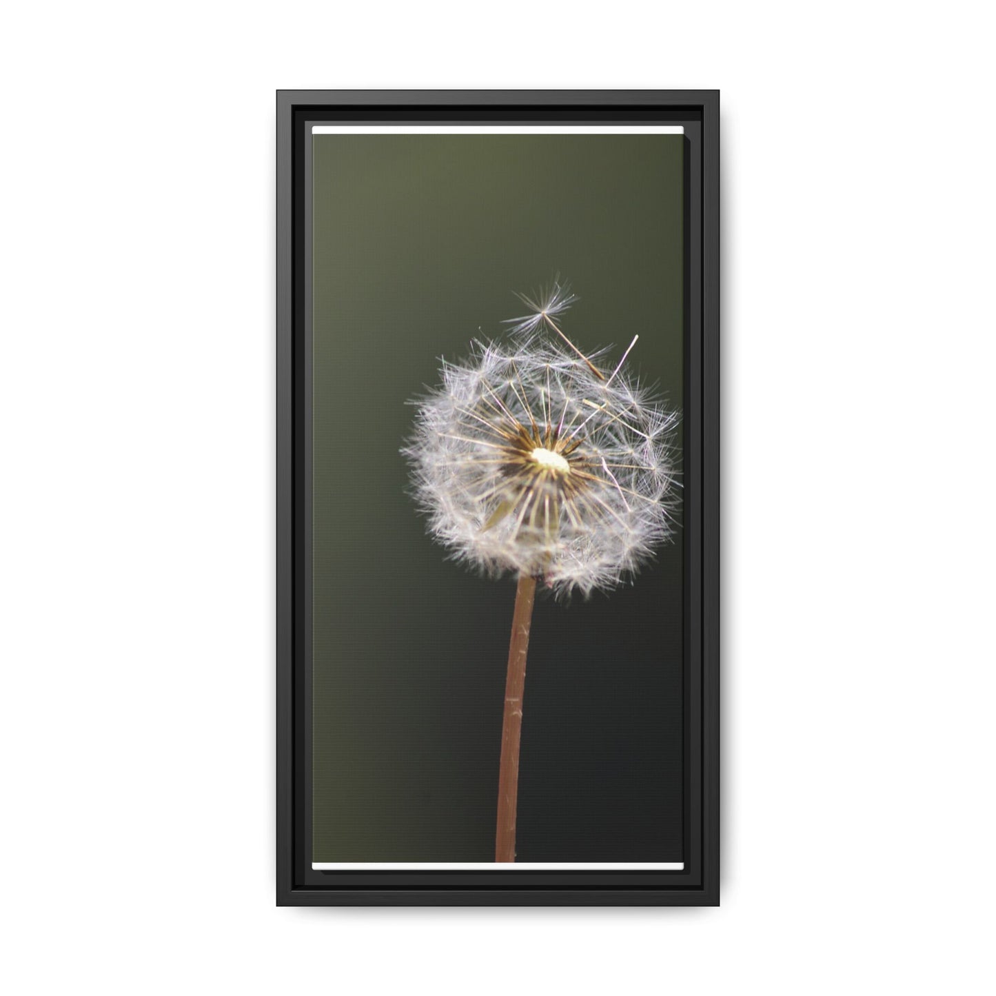Framed Dandelion Canvas Print — Matte Botanical Wall Art