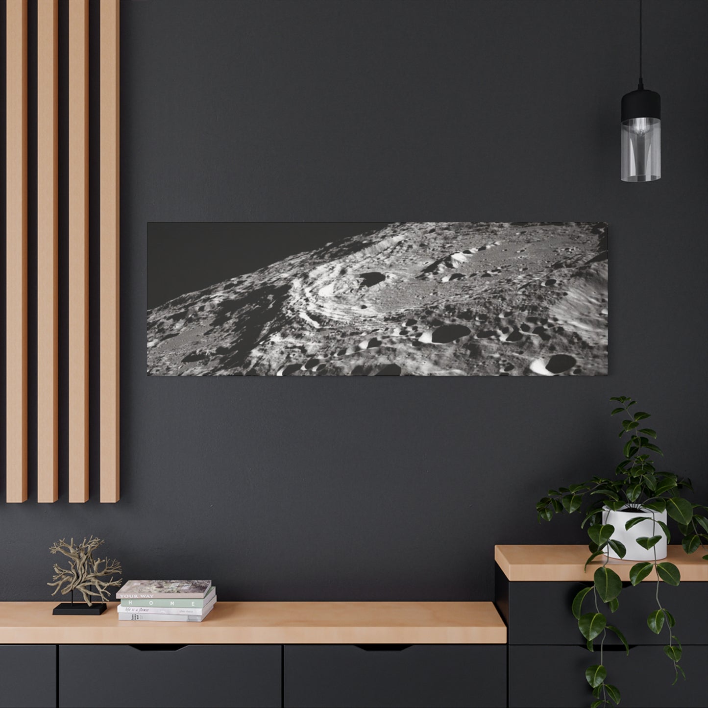 Lunar Surface Matte Canvas Print — Black & White Moon Crater Wall Art