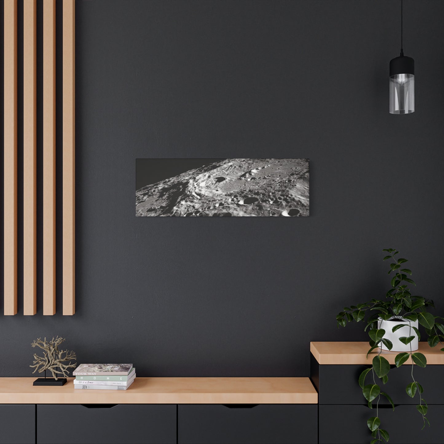Lunar Surface Matte Canvas Print — Black & White Moon Crater Wall Art