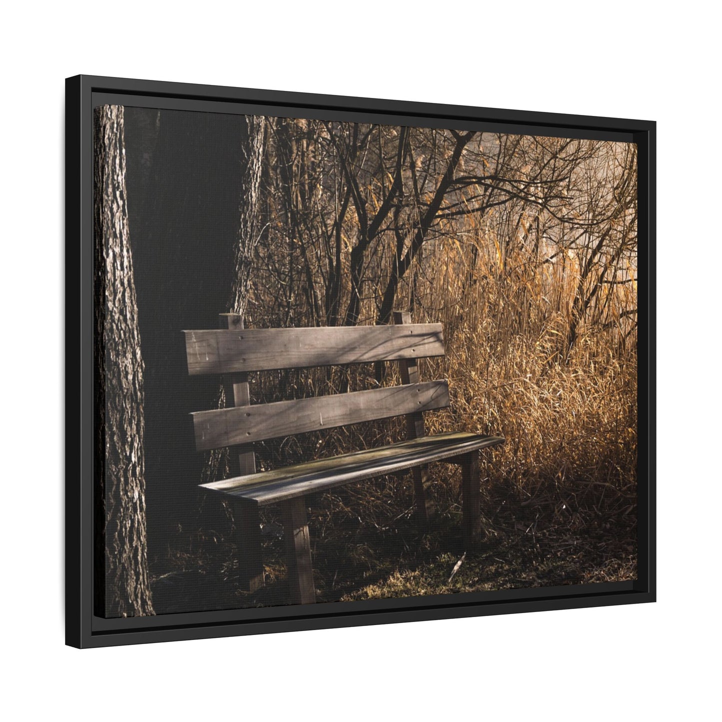 Framed Matte Canvas Print — Autumn Park Bench Photography