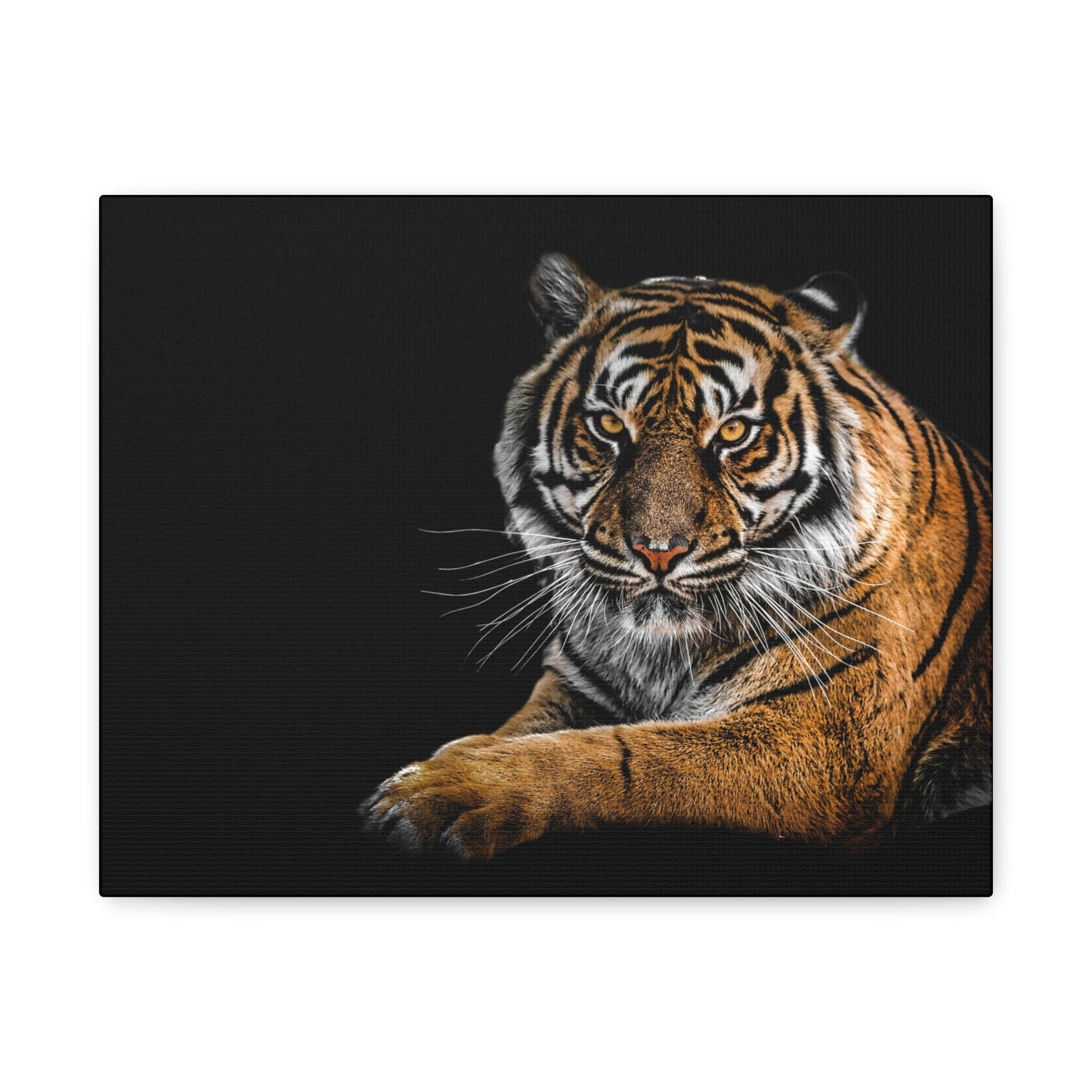 Majestic Tiger Canvas Art, Perfect for Animal Lovers