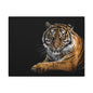 Majestic Tiger Canvas Art, Perfect for Animal Lovers