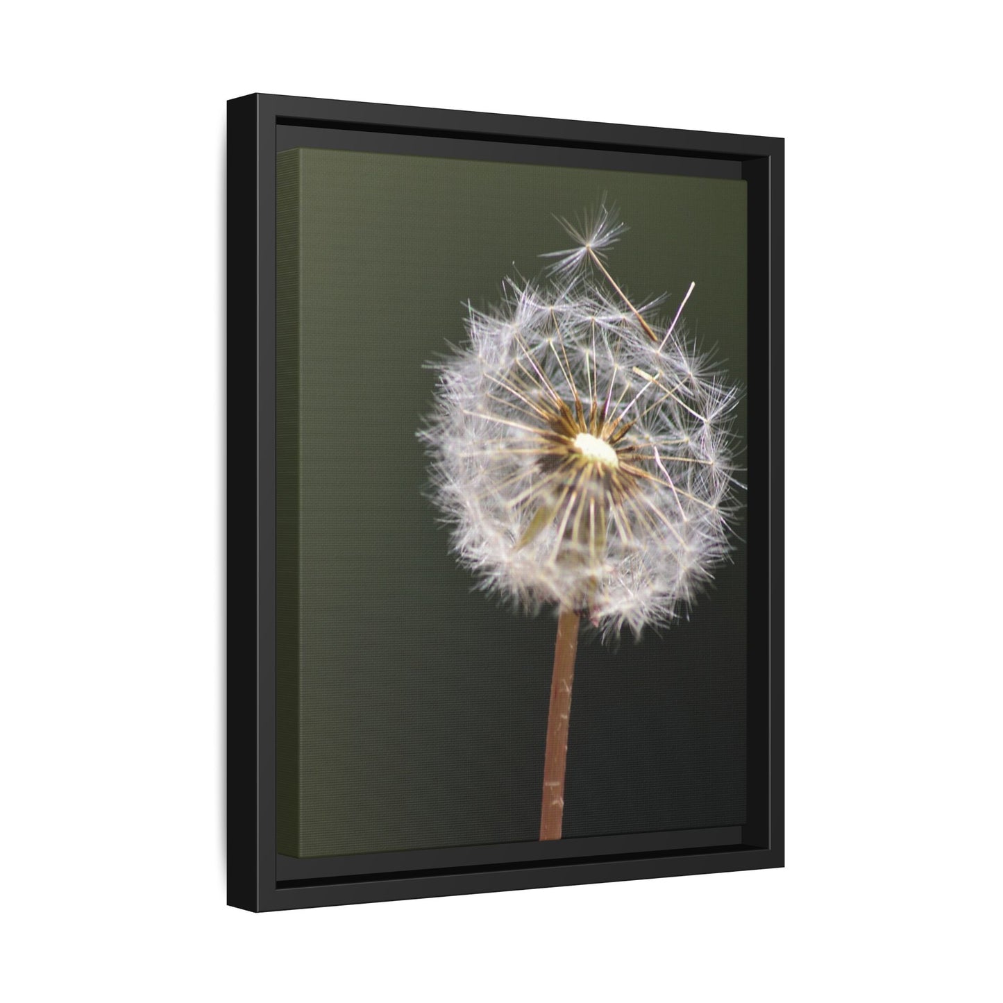 Framed Dandelion Canvas Print — Matte Botanical Wall Art